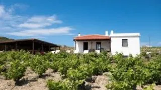 TARLAYA EV YAPMAK İ&Ccedil;İN 
